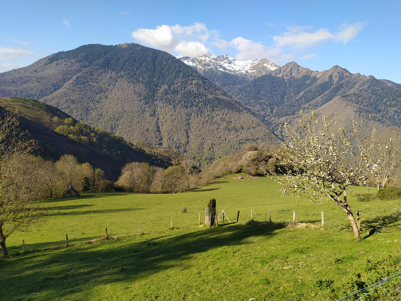 Argut Dessus field with mountain